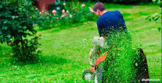 Piéces de motoculture