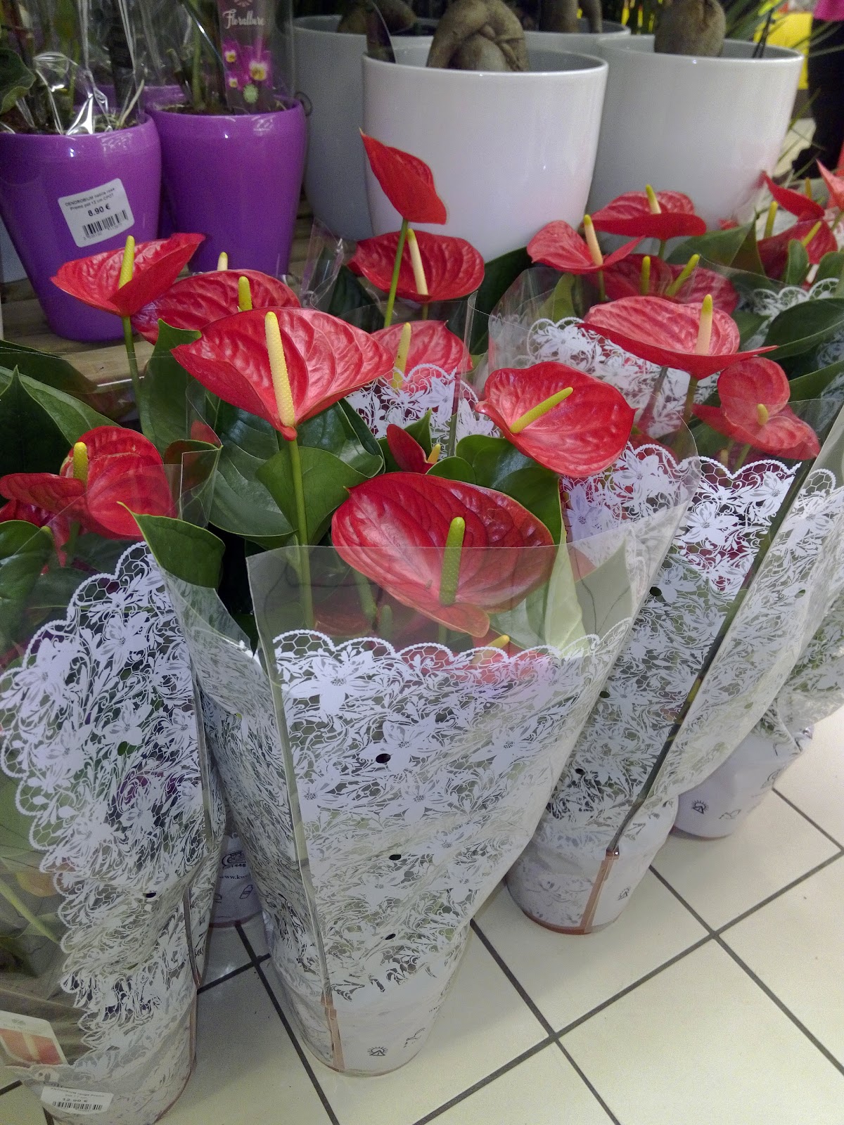 Crosta Alexandre(Alex Car Autos)