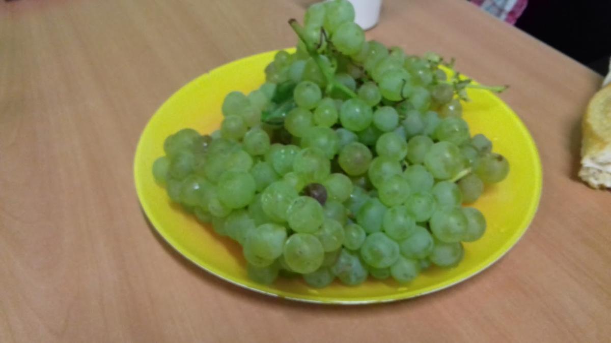 Sécuritest Contrôle Technique Automobile Benfeld