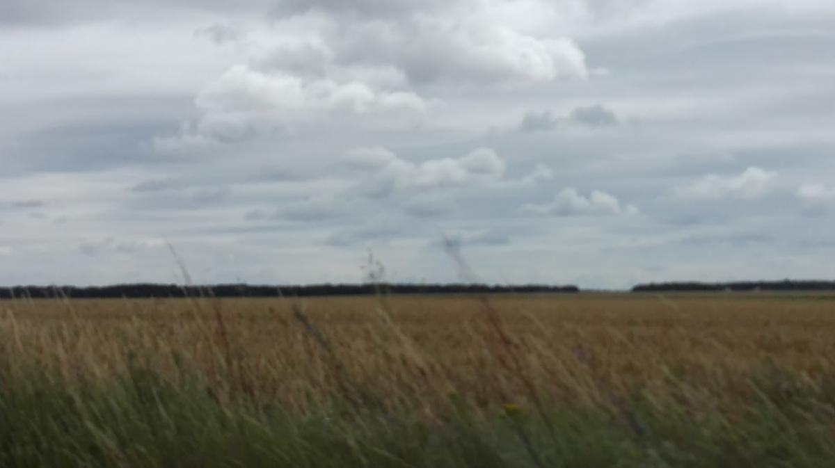 Chaumet automobiles saint ouen les vignes