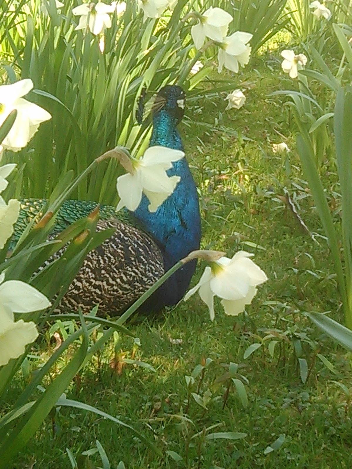 Garage La Vaguenerie