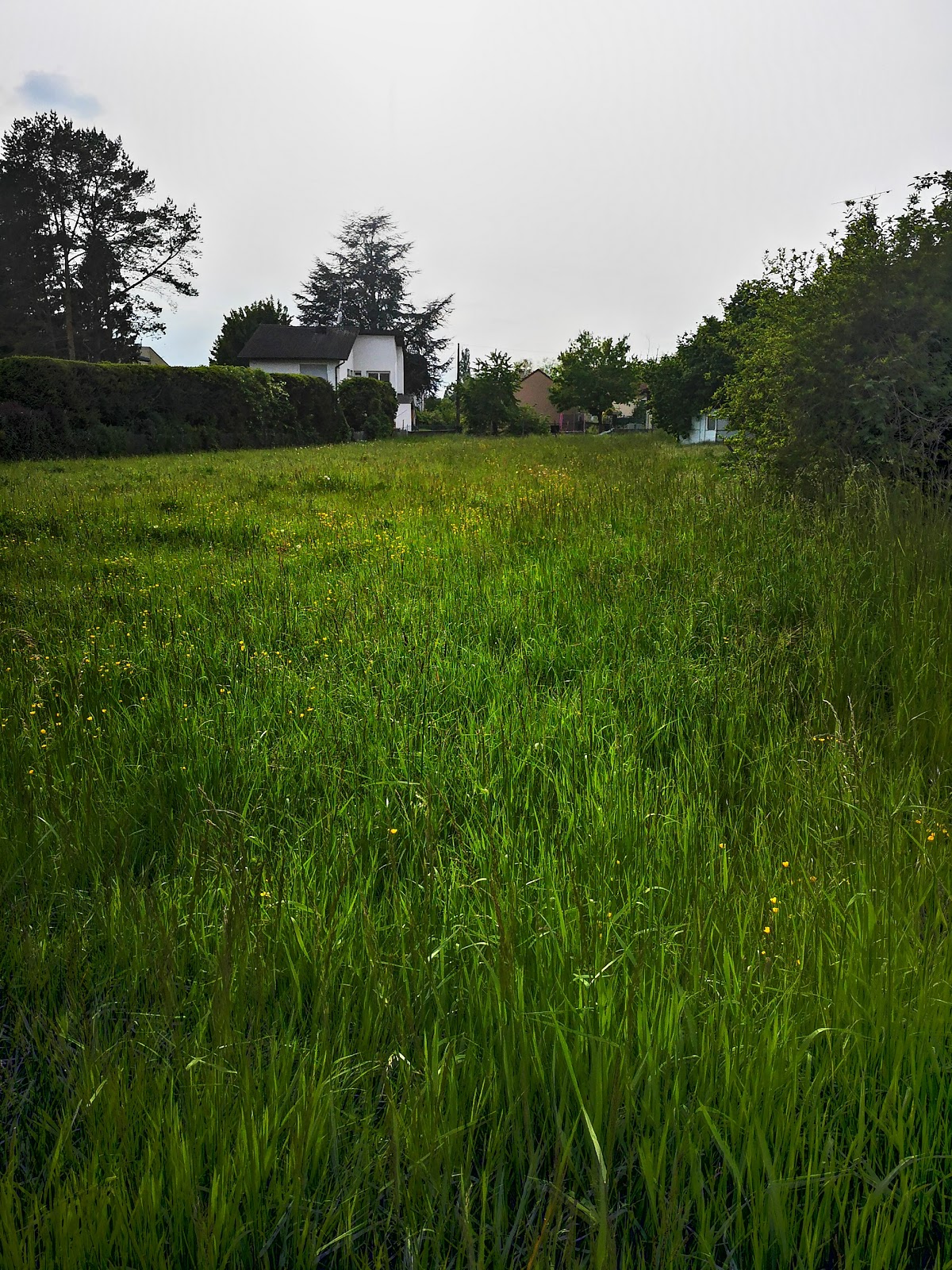 GARAGE 4 ANNEAUX DEPANNAGE REMORQUAGE