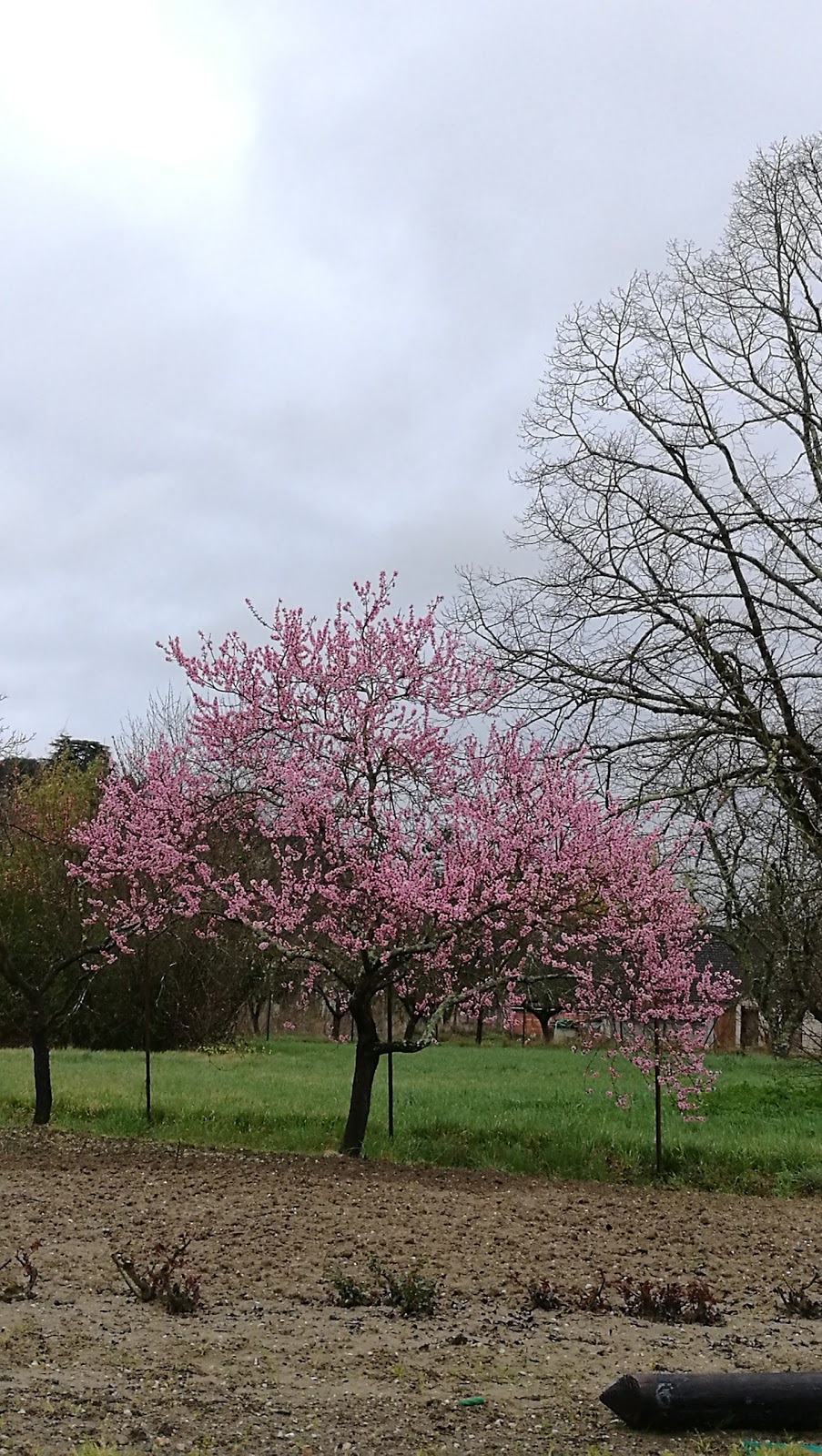 Garage des Sables Marcot