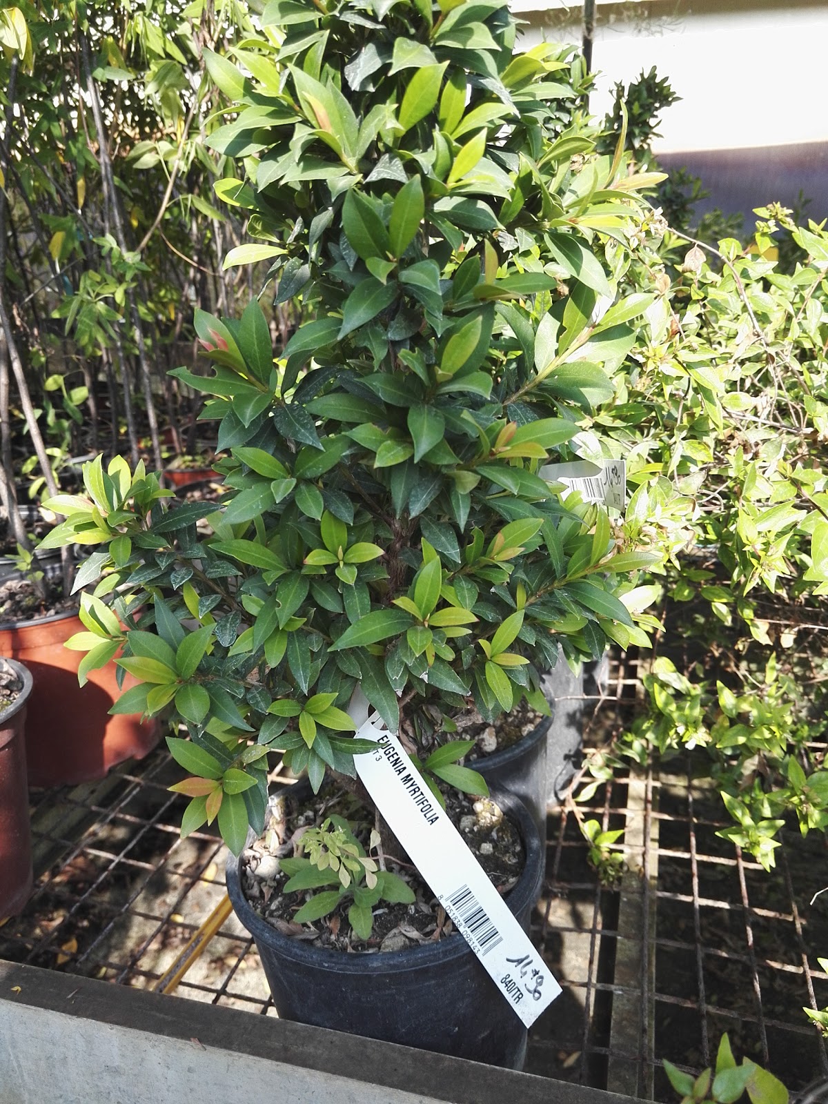 Station-service Total