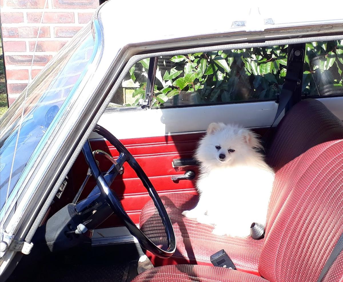 AD Garage Expert ALARY