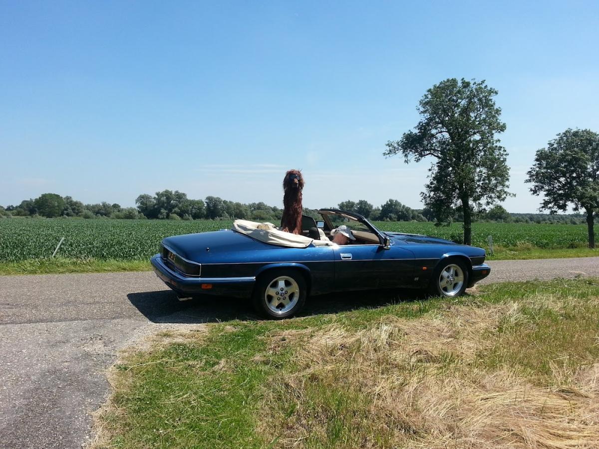 Garage Bru , lavoine