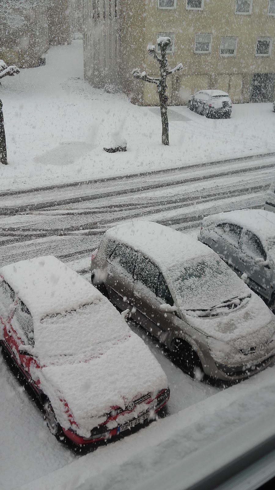 Millauto Losange Forbach