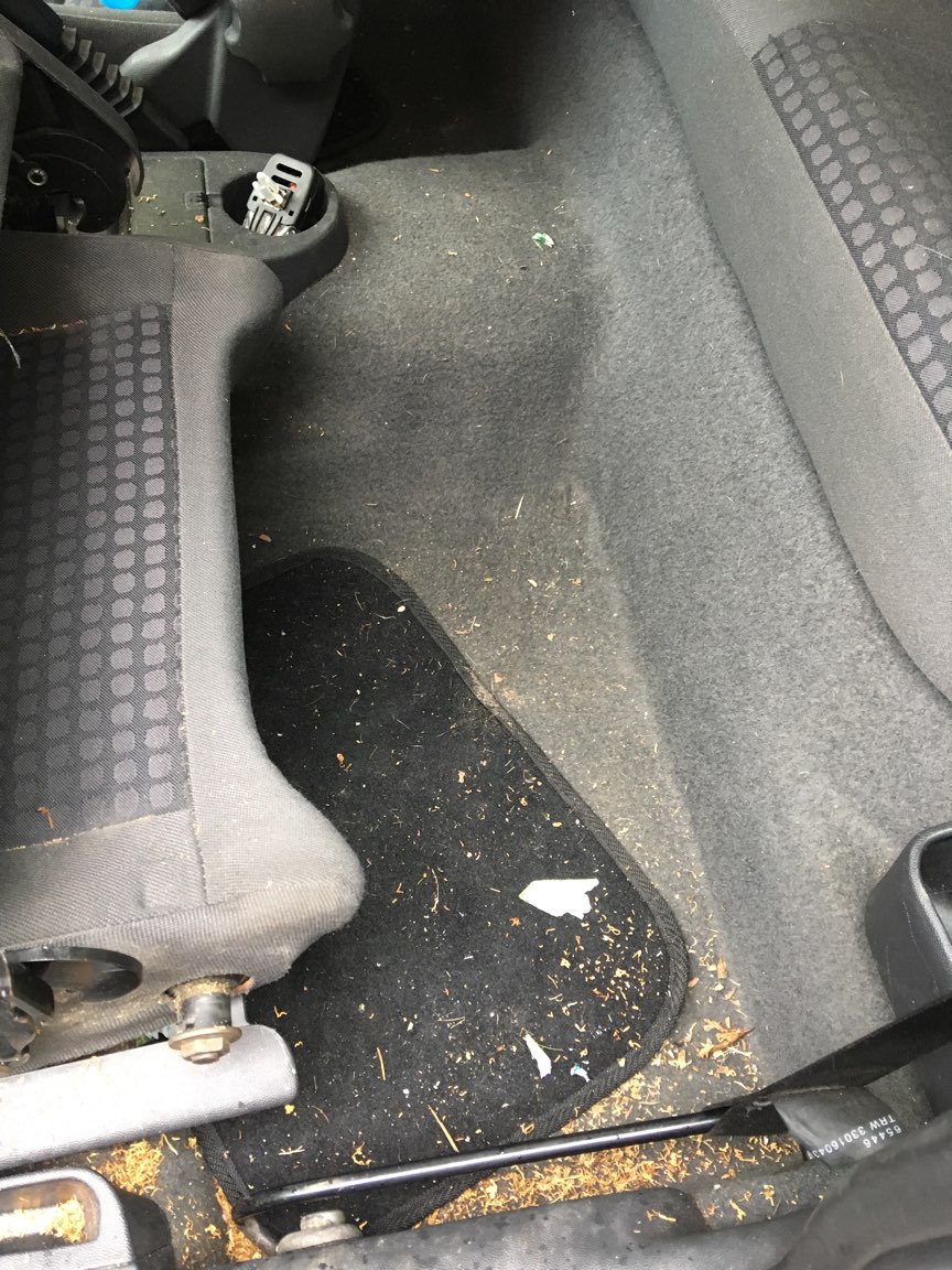 AD CARROSSERIE ET GARAGE EXPERT CARROSCARS