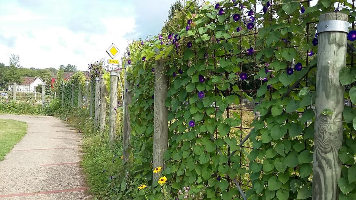 AD Carrosserie et Garage Expert DU GOUR DE L'ARCHE - SARL FRUGIER