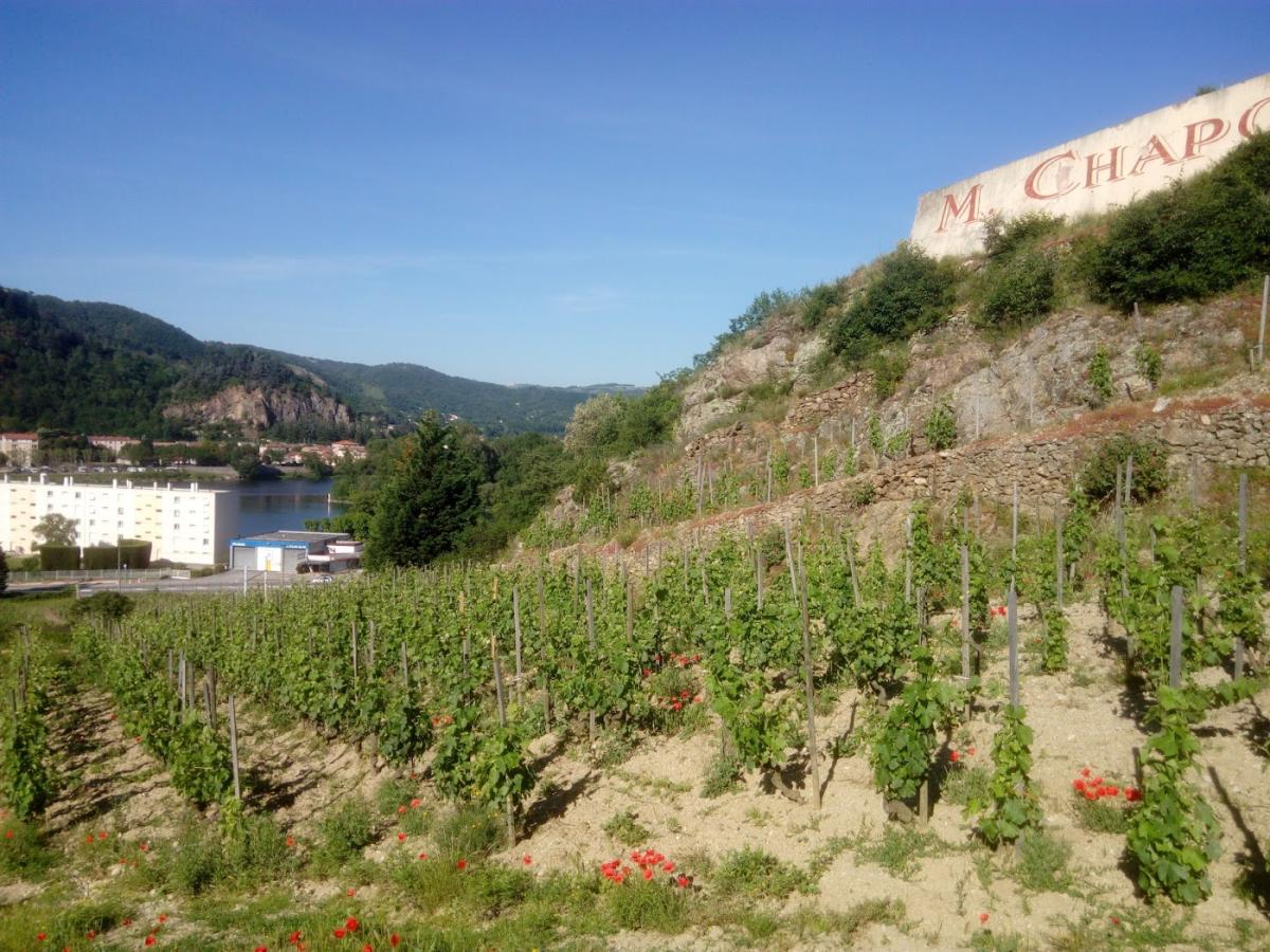 ISOCAR – L' HERMITAGE AUTO