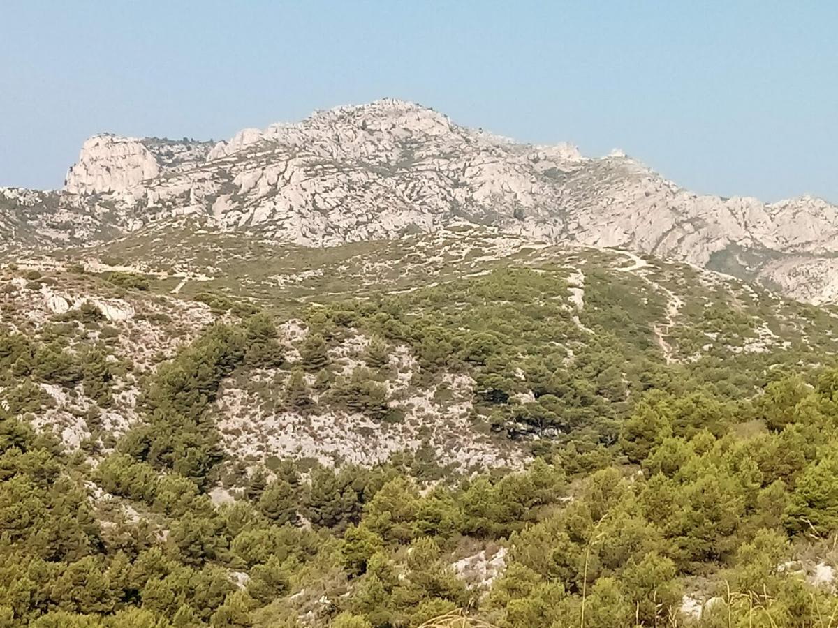 DASIR - Dépot Auto Sport Industrie Rhodanien