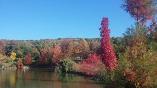 Garage VO Services 0