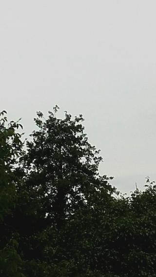 Garage Garage Boch Norbert 0