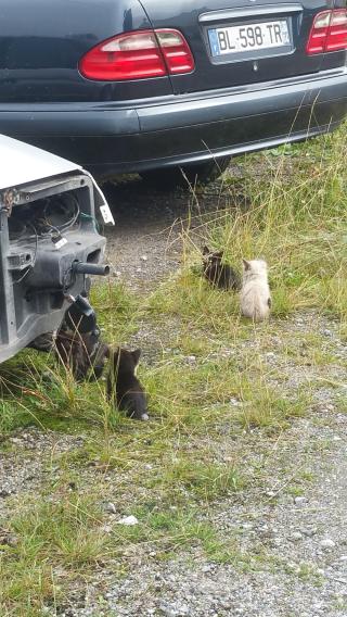 Garage Garage MARTIN ET FILS 0