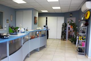 Garage CARROSSERIE VIALAS PATRICK 0