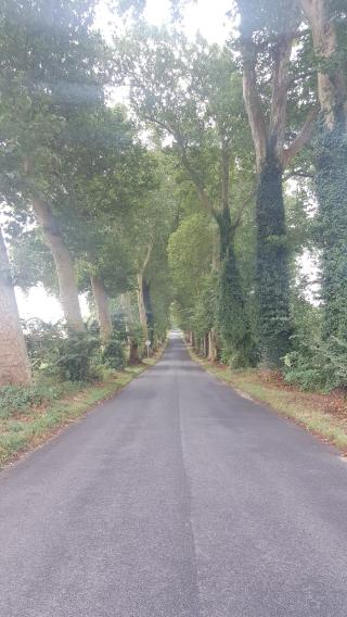 Garage Rispal Frederic Andre Jean-Louis 0