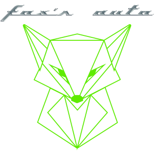 Garage Fox's Auto 0
