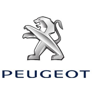 Garage PEUGEOT - GARAGE SAUTER 0