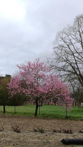 Garage Garage des Sables Marcot 0