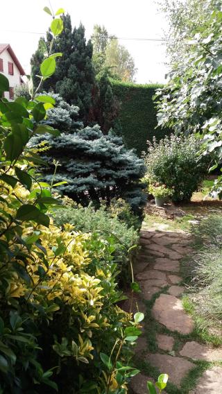 Garage Garage Avatacar 0