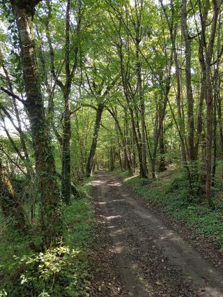 Garage Automobiles en Perigord 0