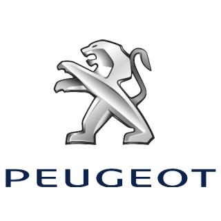 Garage PEUGEOT - GARAGE PERREAU 0