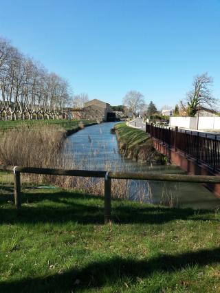 Garage Garage Vinel 0