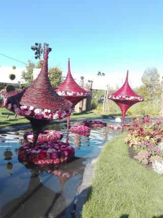 Garage Garage Ehret - Motrio 1