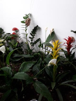 Garage Jean Garage Autos 2