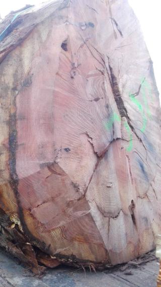 Garage Sarl Garage Poiret Freres 0