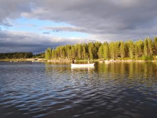 Garage AD Garage Expert GDP 1