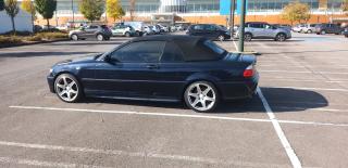 Garage Nico Vitre Teinté 0