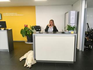 Garage Guichard Talant - Agent RENAULT / DACIA. Mécanique-Carrosserie-Dépannage 0