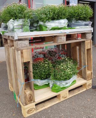 Garage Mr.Bricolage Erstein 2