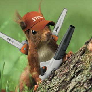 Garage GREEN 41 HUSQVARNA, STIHL, ISEKI, CUB CADET 0