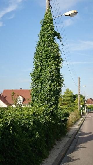 Garage CARROSSERIE BAILLY 0