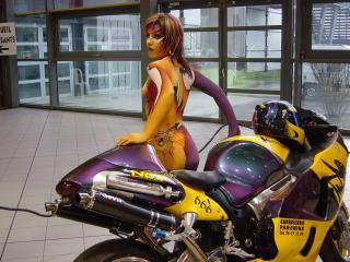 Garage Carrosserie Parchina William 0