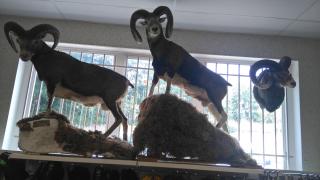 Garage AS Autosécurité Contrôle Technique LA BOURBOULE 0