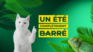 Garage Feu Vert 0