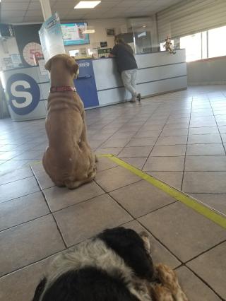 Garage Point S - Ganges 0