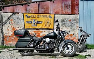 Garage lizard king motorcycles 0