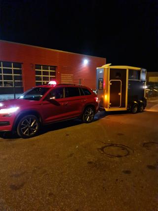 Garage GARAGE DES LYS - Citroën 0