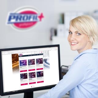 Garage Profil Plus Lamballe (Agence Industrielle) 0