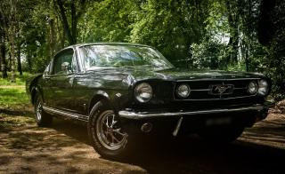 Garage Garden's Garage 0