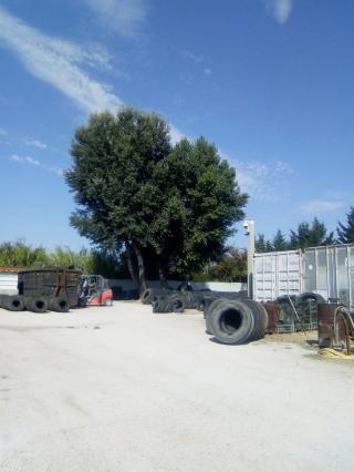 Garage Senas Pneus 0