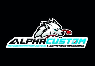 Garage Alpha-Custom 0