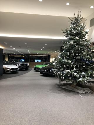 Garage Mercedes-Benz & smart - Como Wagram 2