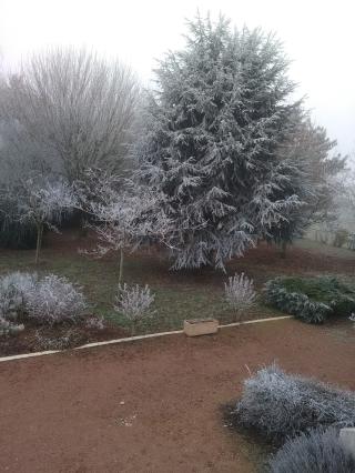 Garage Bodet Laurent 1