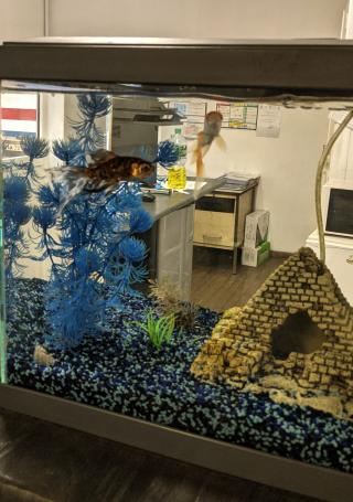 Garage Contrôle Technique AUTOVISION BEDARIEUX 0