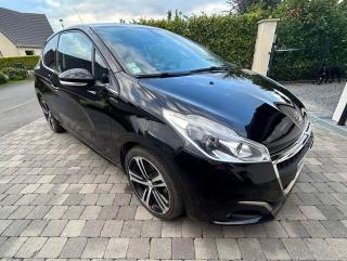 Garage Cat-Auto 81 1